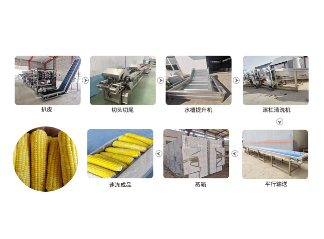 速冻玉米加工生产线设备