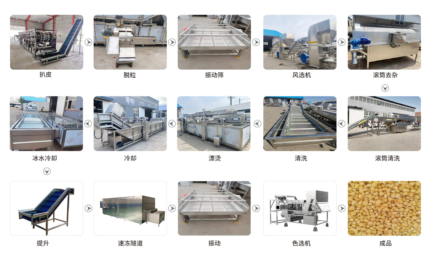 速冻玉米粒工艺流程(图1)
